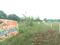 Ridyanshi Inara City Main Image 1