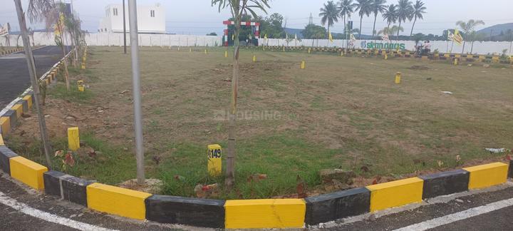 Chettipunyam Main Image 1