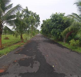 Balaji Hill County Plot View 2