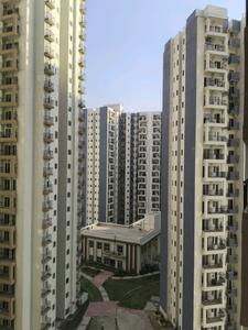Building Image of 920 Sq.ft 2.5 BHK Apartment / Flat for sale in Amrapali Dream Valley 2, Noida Extension Greater Noida for Rs. 6500560