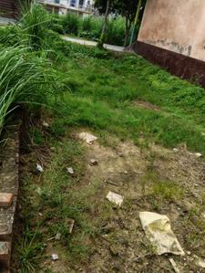 Residential Plot