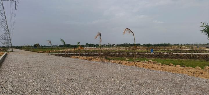 Hampton Palms Main Image 1