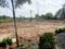 Green enclave Plot View 2