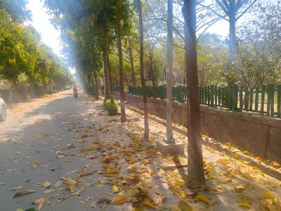 Residential Plot