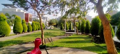 Residential Plot