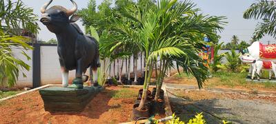 Image of 600 Sq.ft Residential Plot / Land for sale in Kovilpalayam, Coimbatore for Rs. 700000