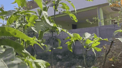 Image of 435 Sq.ft Residential Plot / Land for sale in Tanko, Ranchi for Rs. 1600000