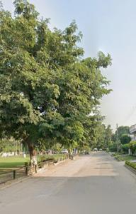 Image of 9000 Sq.ft 5 BHK Independent House for sale in Sector 33, Chandigarh for Rs. 370000000