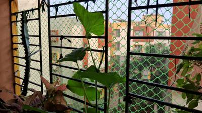 Balcony Image of 1130 Sq.ft 3 BHK Apartment / Flat for sale in Starlite Sunny Seasons, Narendrapur Kolkata for Rs. 5200000