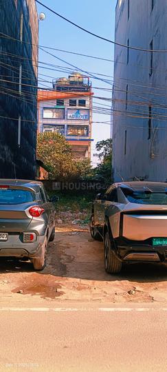 Parakh Golden Maple Main Image 1