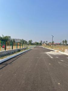 Sankeswar Padmvati Nagar Plot View 2