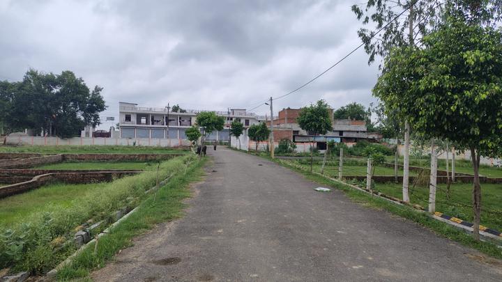 Kalli Poorab Main Image 1