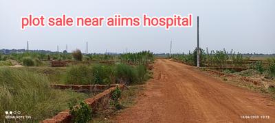 kasipur tamondo Plot View 2
