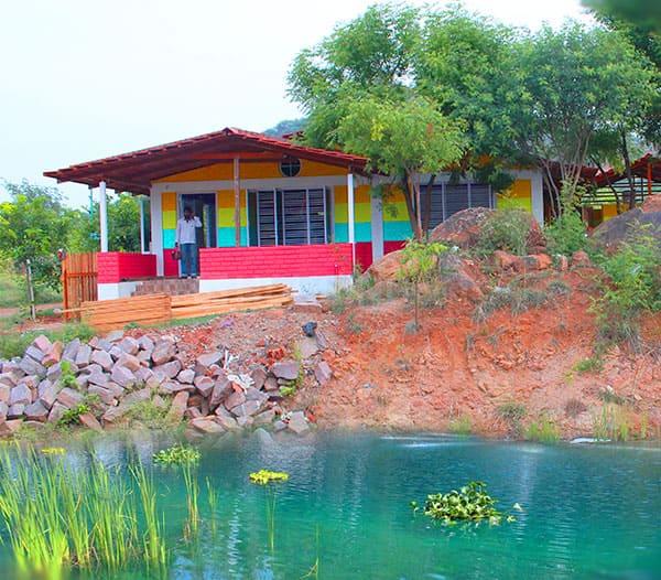 Divine Euphoria Main Image 1