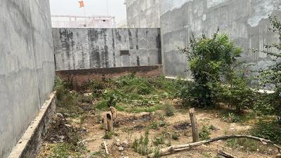 Image of 1800 Sq.ft Residential Plot / Land for sale in Kanausi, Lucknow for Rs. 11000000