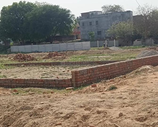 Rohania Main Image 1