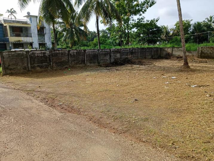 Ollur Main Image 1