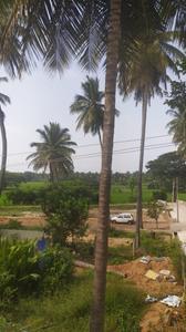 Image of 600 Sq.ft 1 BHK Independent House for rent in Siddalingapura Village, Mysore for Rs. 8000