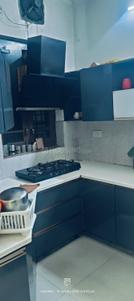 Kitchen Image of 1000 Sq.ft 1 BHK Builder Floor for rent in Urban Estate Jalandhar for Rs. 17000