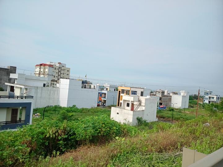 Umariya Main Image 1