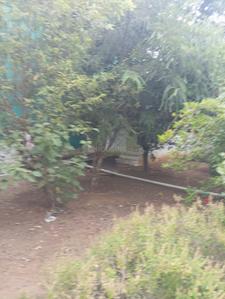 Image of 3800 Sq.ft 4 BHK Independent House for rent in Kottivakkam, Chennai for Rs. 110000