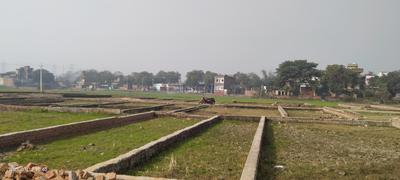 Parao Plot View 1