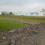 Mandideep Plot View 2