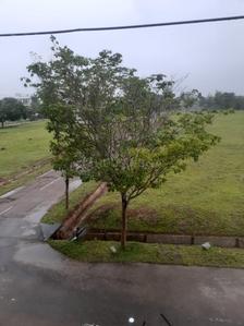 Image of 5000 Sq.ft 4 BHK Duplex for sale in ESS Sree Sapthamathruka Layout, Yandahalli, Mysore for Rs. 9900000