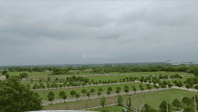 Residential Plot