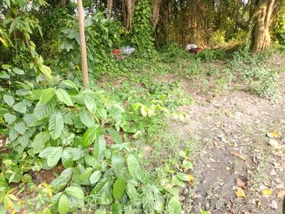 Image of 1500 Sq.ft Residential Plot / Land for sale in Sarada Pally, Kolkata for Rs. 7470000