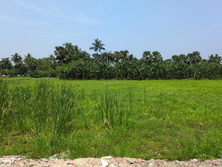 Diamond Park Main Image 1