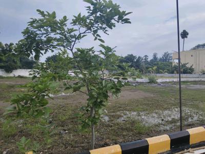 Image of 2400 Sq.ft Residential Plot / Land for sale in Kovalam, Chennai for Rs. 9576000