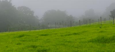 Image of 12000 Sq.ft Residential Plot / Land for sale in Shahapur, Thane for Rs. 2988000