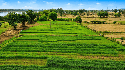 Image of 10800 Sq.ft Residential Plot / Land for sale in Toria Mohalla, Chhatarpur for Rs. 7500000