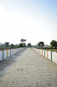 Ujrai Plot View 2