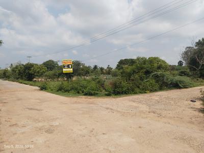 Paiyanur Plot View 2