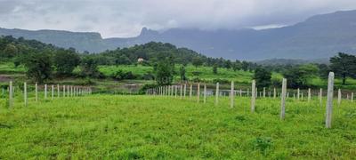 Green karjat Plot View 3