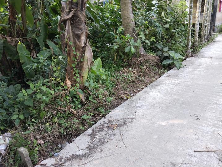 Uluberia Main Image 1