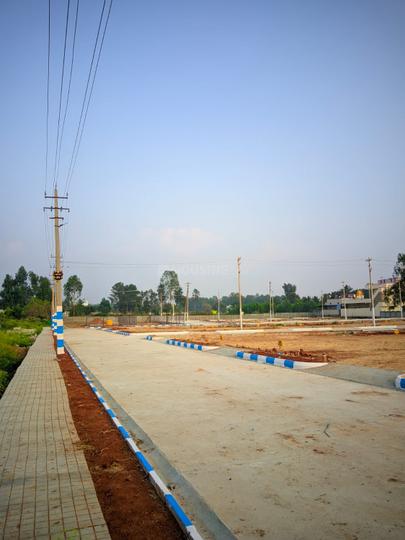 Erayaa shivoham greens  Main Image 1