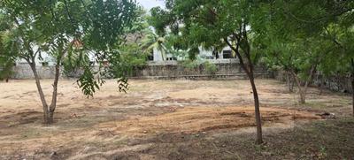 Residential Plot