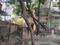 Block C, Kyampur Plot View 2