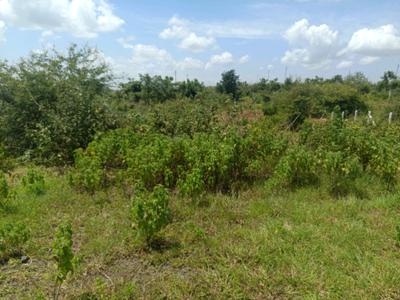 Image of 700 Sq.ft Residential Plot / Land for sale in Lohegaon, Pune for Rs. 1903000