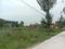 Apparent JB Garden Main Image 1
