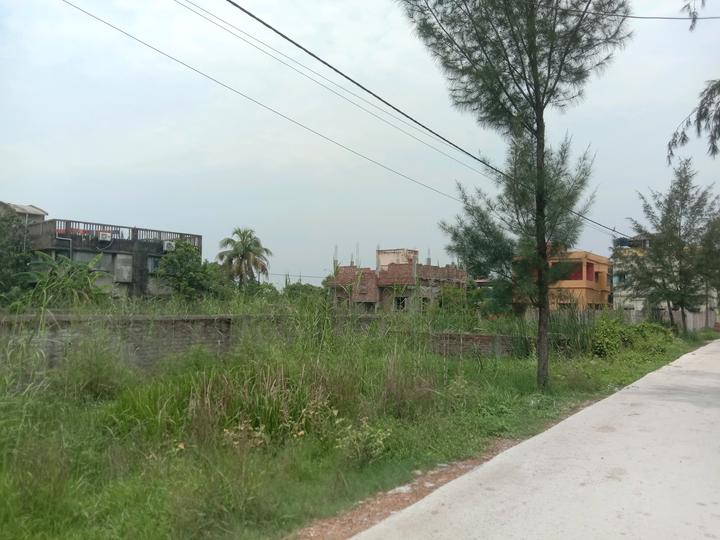 Apparent JB Garden Main Image 1
