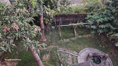 Image of 10000 Sq.ft 3 BHK Independent House for sale in Ghatshila, East Singhbhum for Rs. 8000000