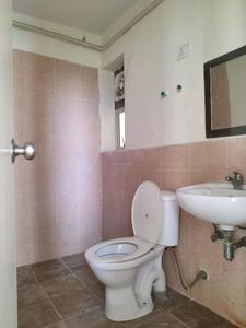 Common Bathroom Image of 953 Sq.ft 2 BHK Apartment / Flat for sale in Jaypee Aman, Sector 151 Noida for Rs. 7000000
