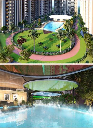 VTP Euphoria Phase 2 Main Image 1