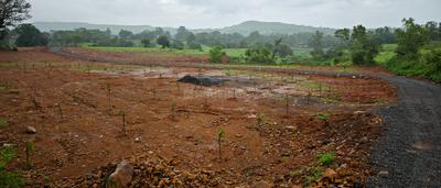 Image of 10764 Sq.ft Residential Plot / Land for sale in Trimbak, Nashik for Rs. 3500000