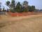 Neuri Plot View 2