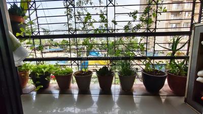 Balcony Image of 700 Sq.ft 1 BHK Apartment / Flat for sale in Sanpada Navi Mumbai for Rs. 11000000